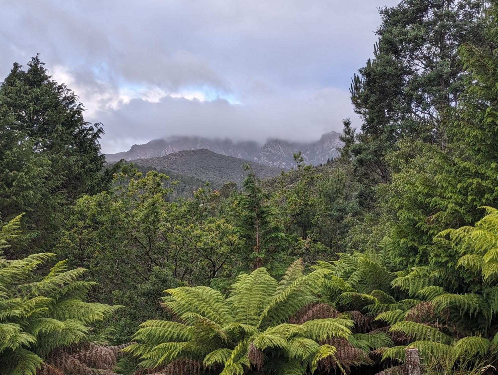 Lyell Queenstown