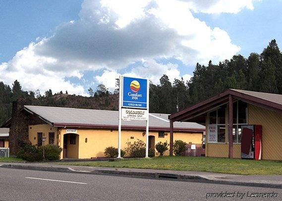 Gold Rush Motel 3*