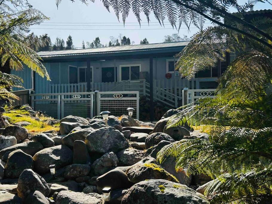 Cozy Creek