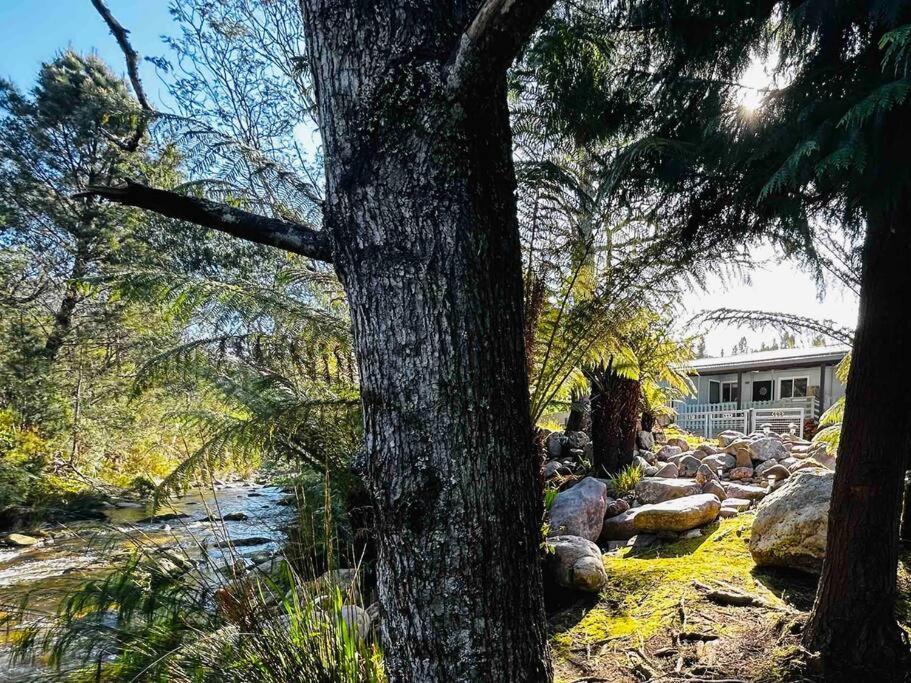 Cozy Creek