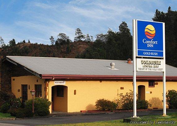 Motel Gold Rush