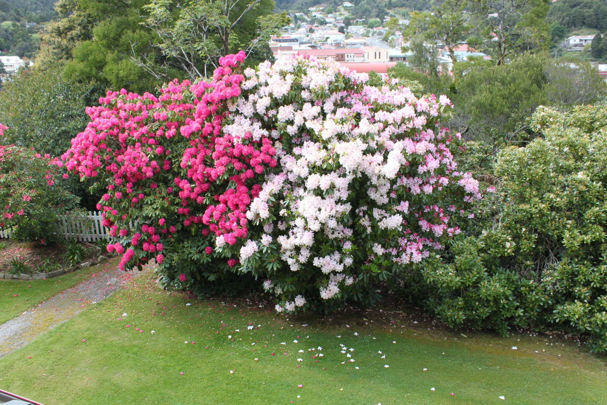 Penghana Bed & Breakfast Queenstown